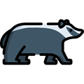 badger101 profile image