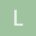 laaaarsi profile image