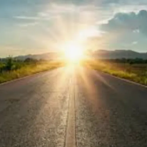 carlwitt profile image