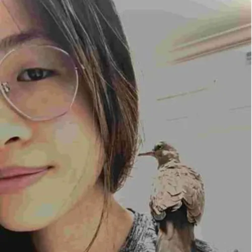 jolene profile image